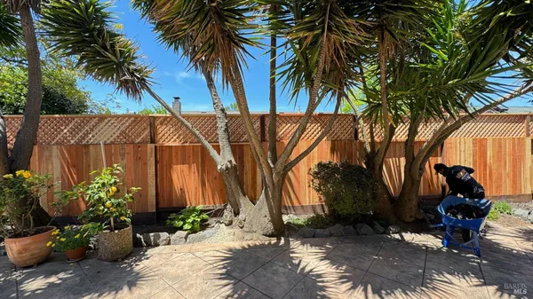 a view of a backyard
