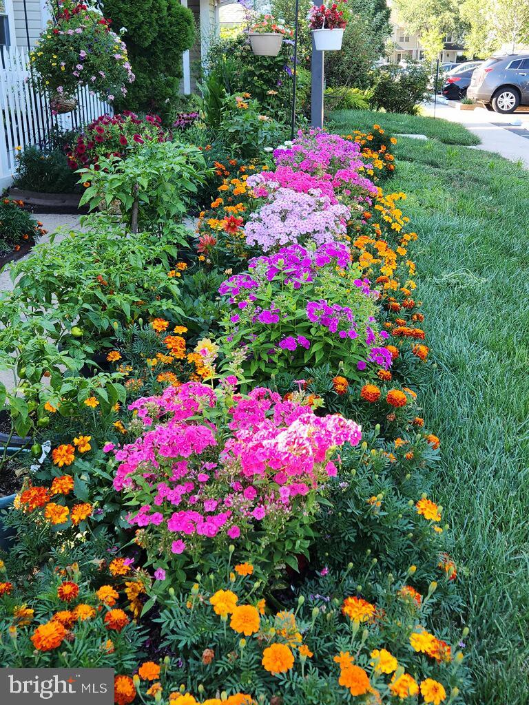 31 Ashley Court, Unit 31 Glen Mills, PA 19342 - Photo 2 of 19 a view of a flower that is in a garden