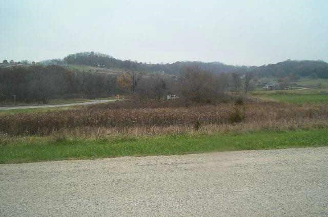 2 Genessee Trail Galena, IL 61036 - Photo 2 of 5 a view of outdoor space and yard