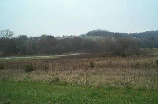 2 Genessee Trail Galena, IL 61036 - Photo 4 of 5 a view of a lush green field