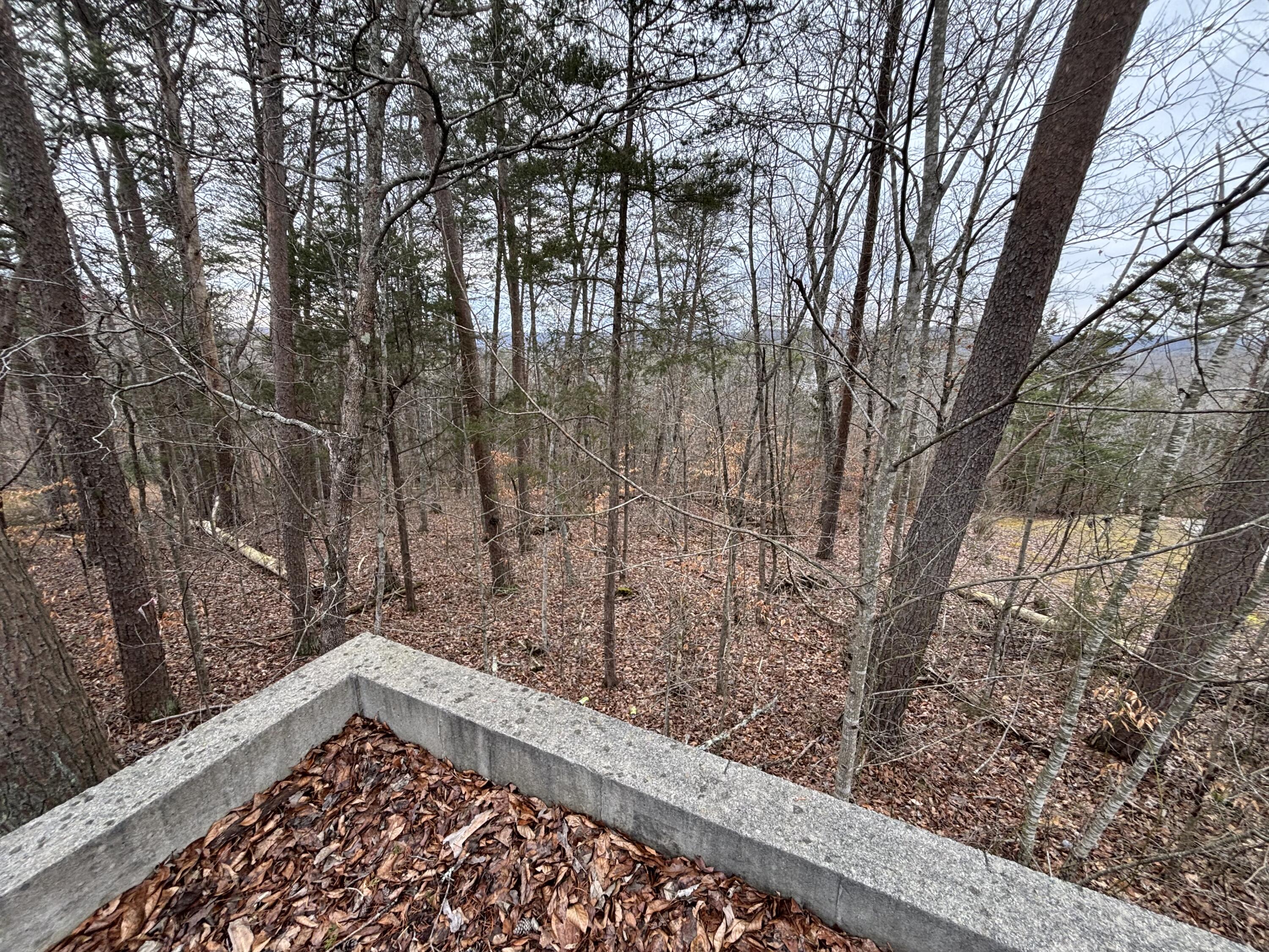 1700 Garland Road Burnside, KY 42519 - Photo 2 of 9 IMG_7415
