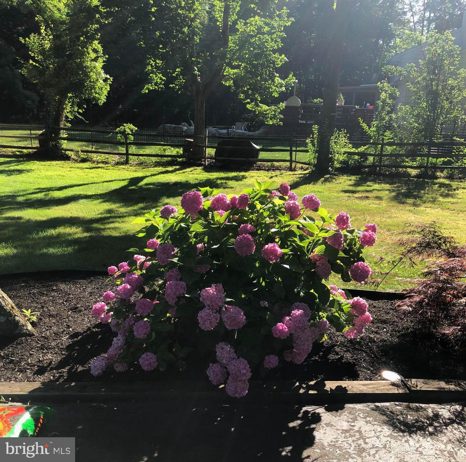 53 Tindall Road Robbinsville, NJ 08691 - Photo 45 of 46 Gallery Image 45