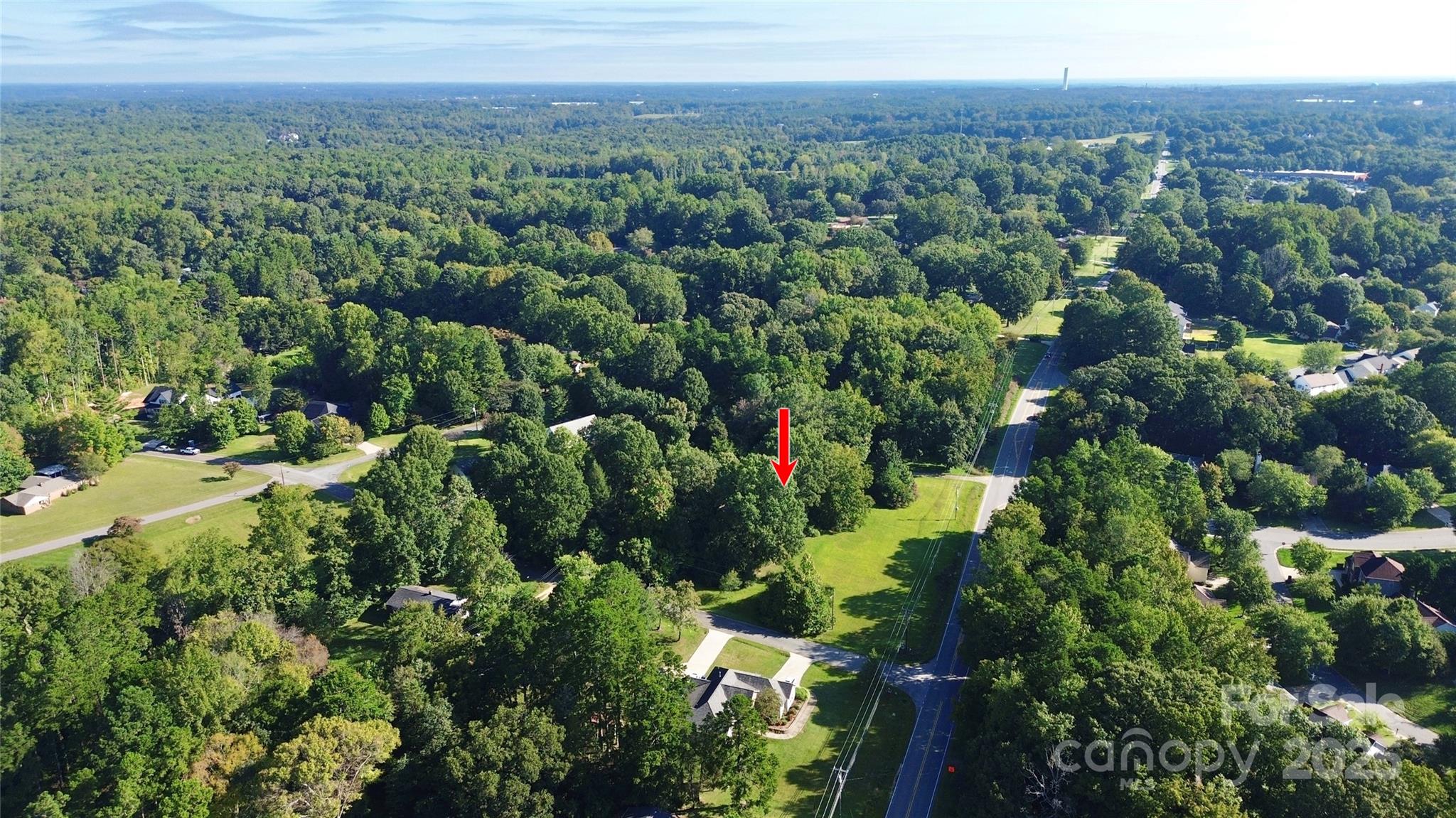 8911 Mt Holly-Huntersville Road Huntersville, NC 28078 - Photo 3 of 9 a view of a green field with lots of bushes