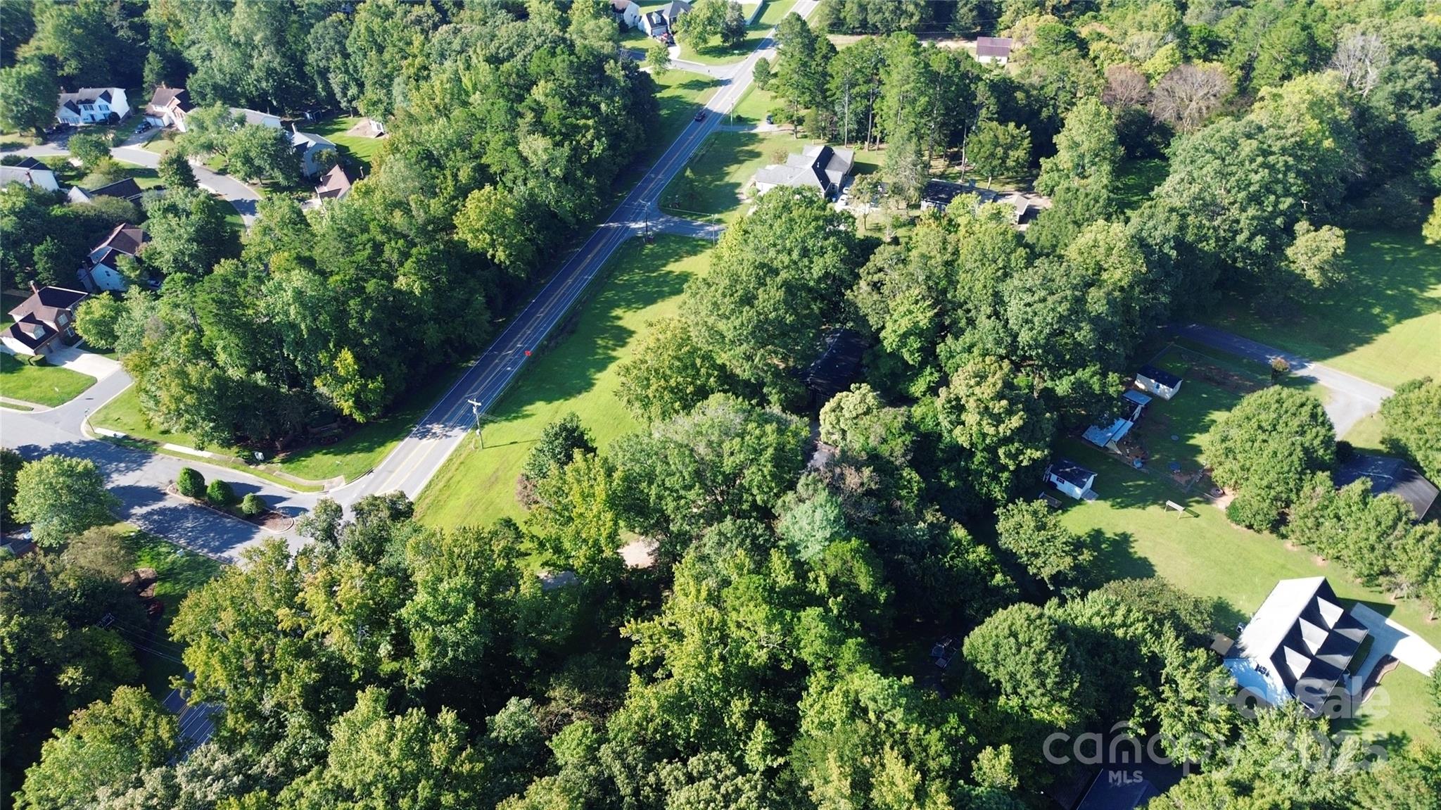 8911 Mt Holly-Huntersville Road Huntersville, NC 28078 - Photo 8 of 9 a plant with lots of trees