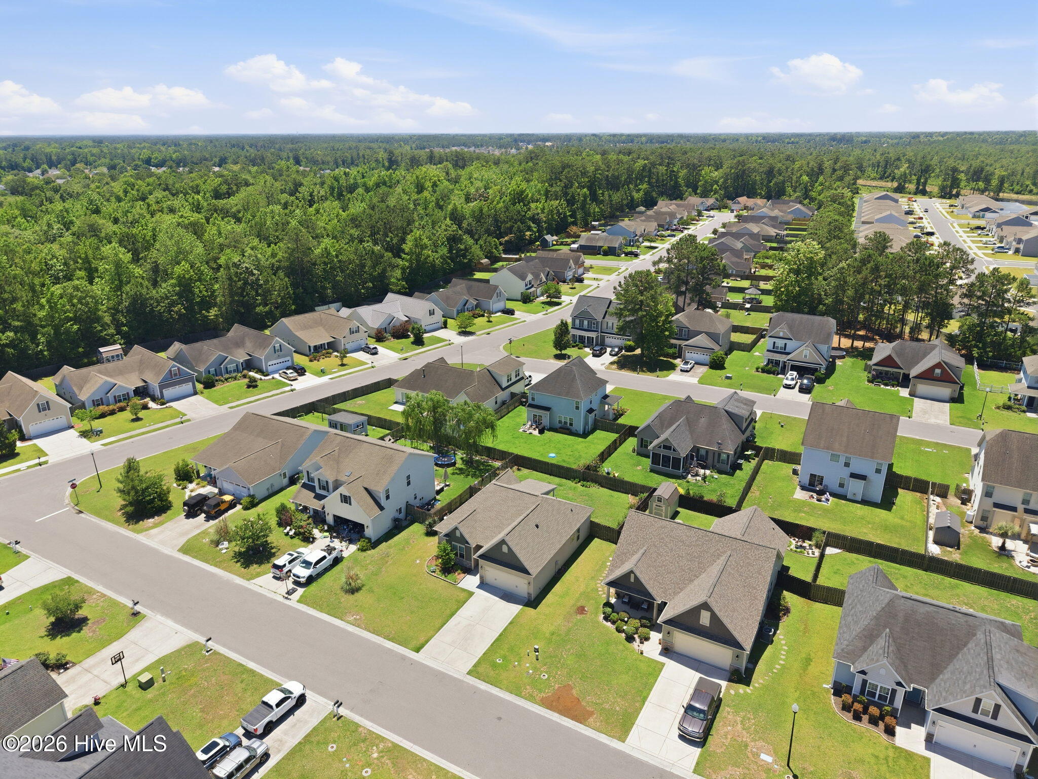 819 Heartwood Loop Road Leland, NC 28451 - Photo 44 of 49