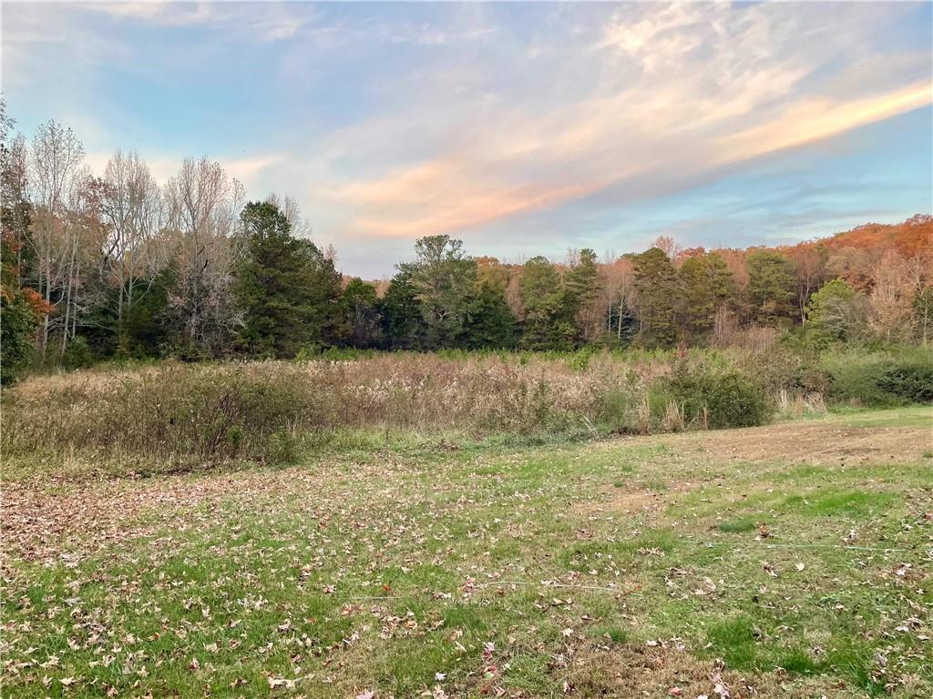 866 Sugar Valley Road Southwest Cartersville, GA 30120 - Photo 19 of 27