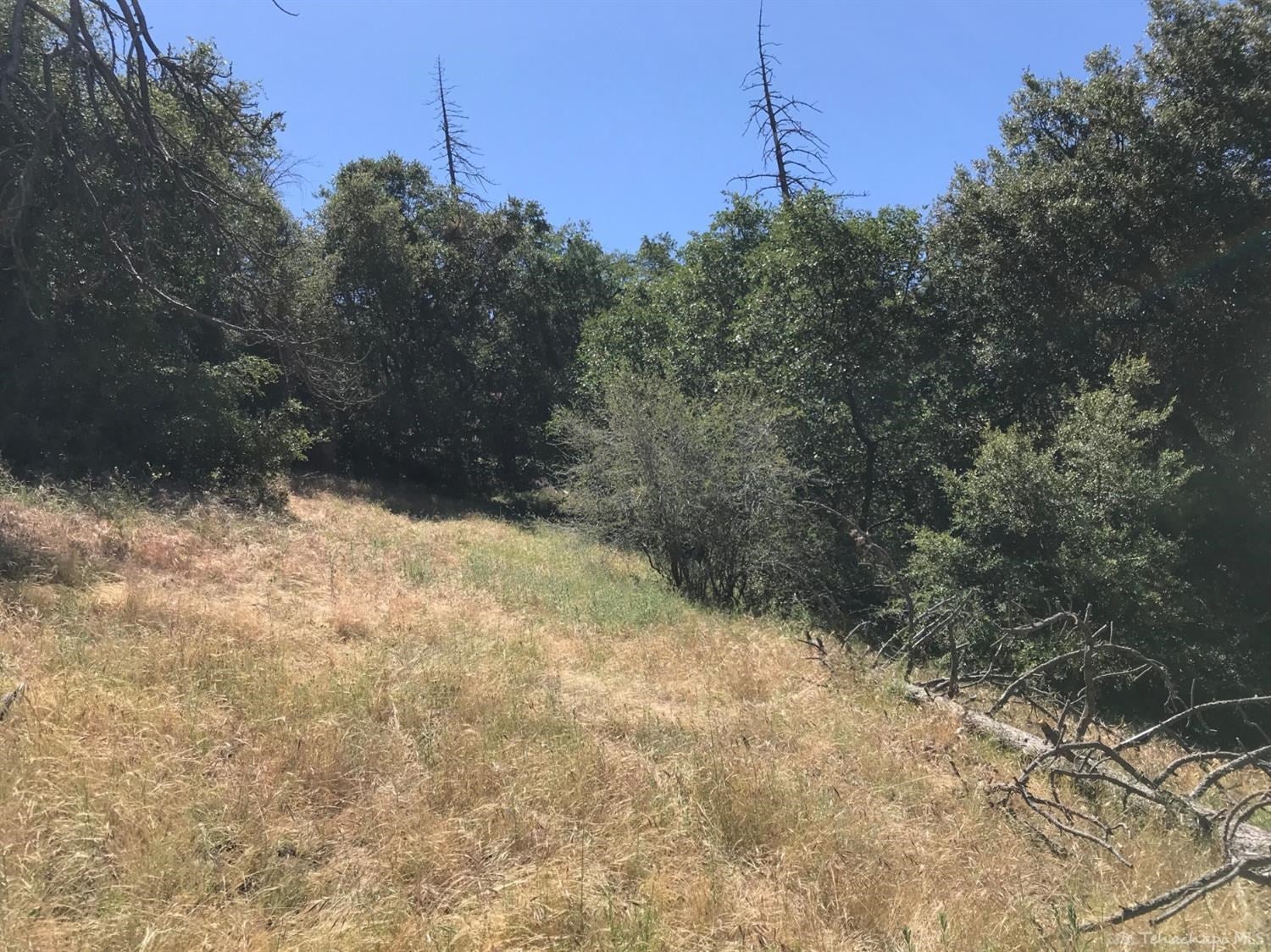 29640 Goldspike Road Tehachapi, CA 93561 - Photo 9 of 9 Gallery Image 9