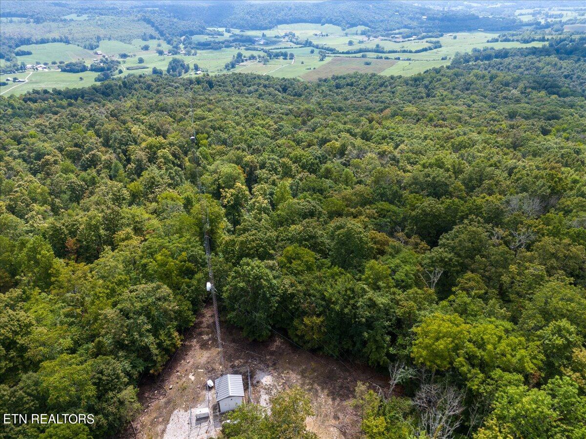 23.2 Ac Road Sparta, TN 38583 - Photo 5 of 18 06-Fire Tower Road