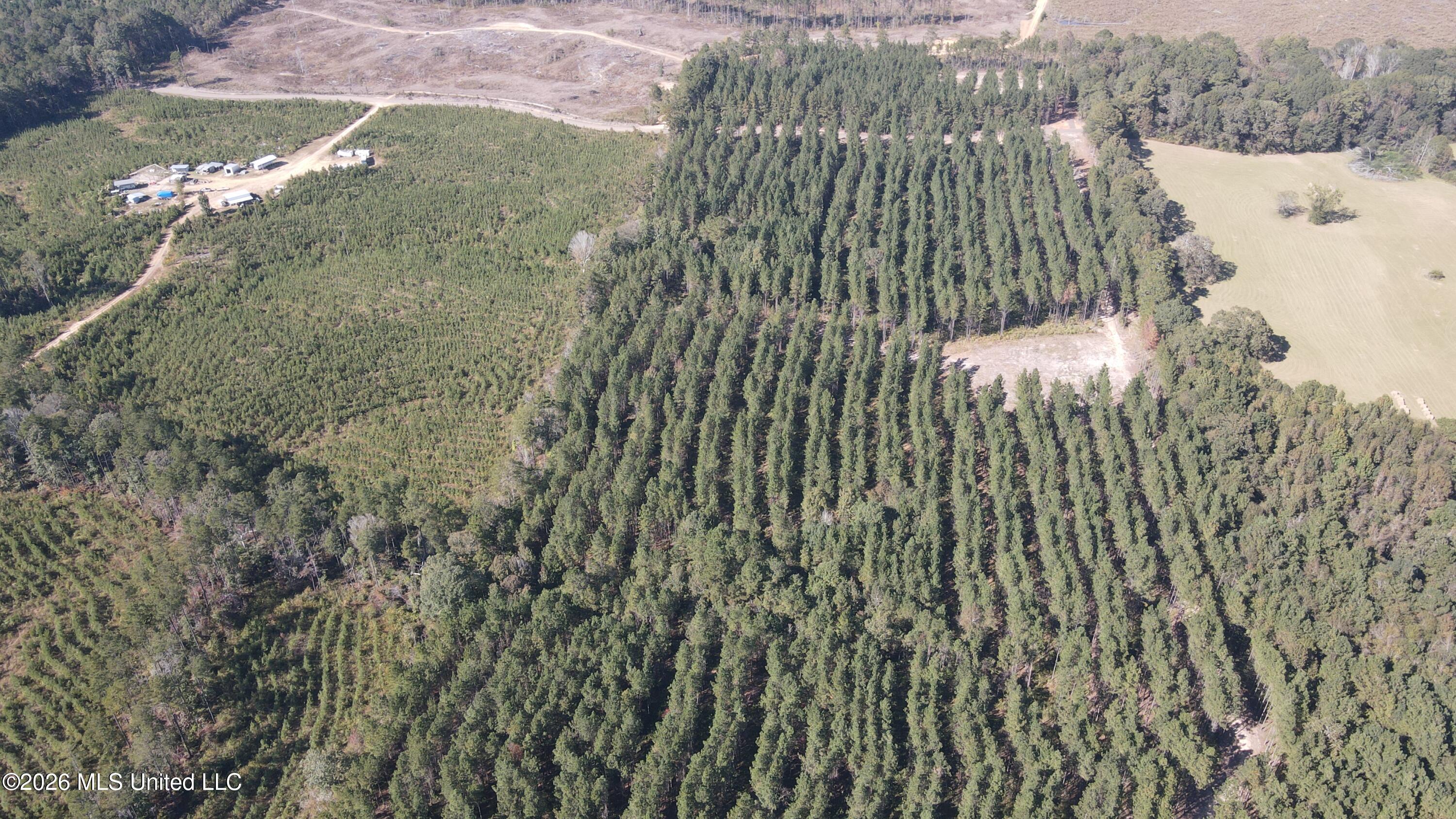 Loyd Irby Road Pelahatchie, MS 39145 - Photo 22 of 30 DJI_0214