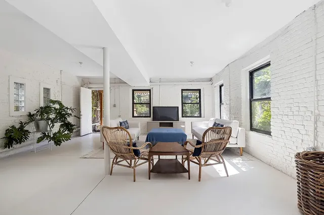 a living room with furniture and a potted plant