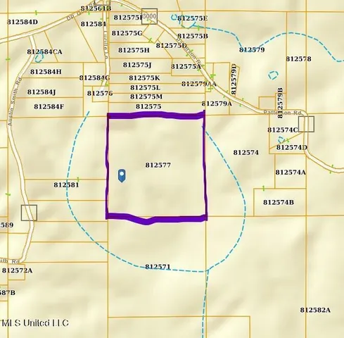 $200,000 | 0 Lucille Lane, Ruth, MS 39662