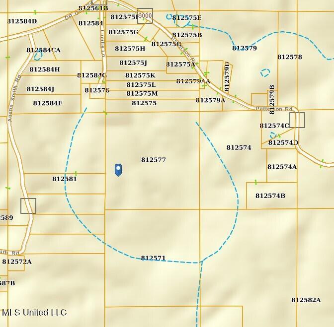 0 Lucille Lane Ruth, MS 39662 - Photo 3 of 3 Screenshot 2025-09-10 141559