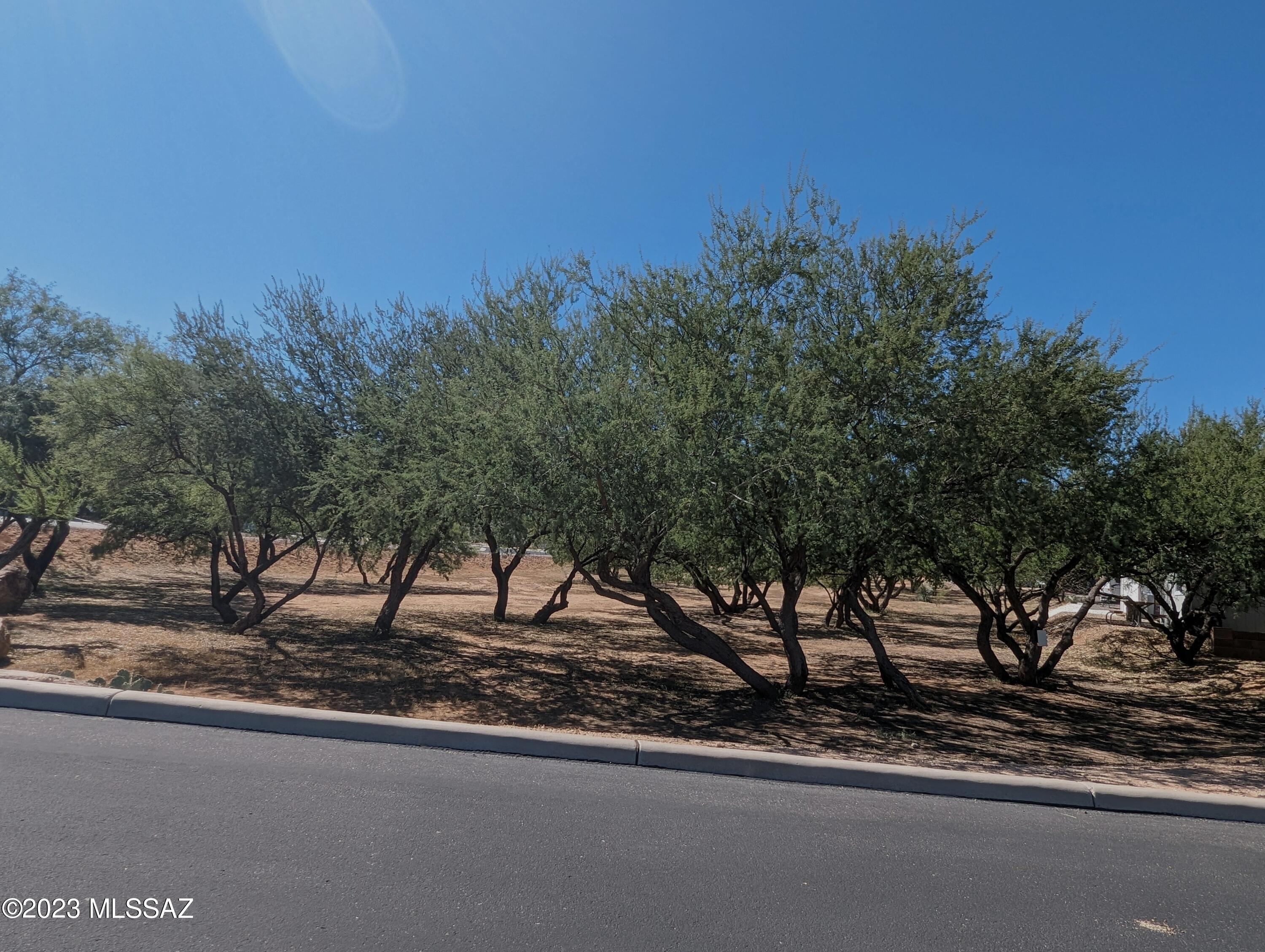 1030 Barrel Cactus Ridge, Unit 149 Benson, AZ 85602 - Photo 24 of 25