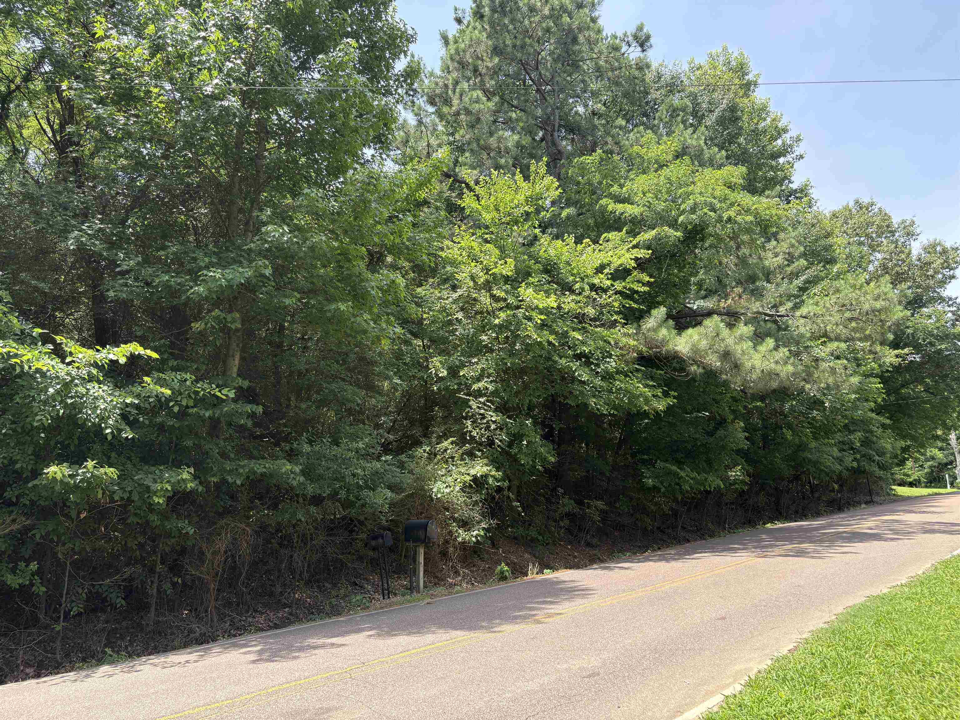10477 Godwin Road Arlington, TN 38002 - Photo 7 of 8