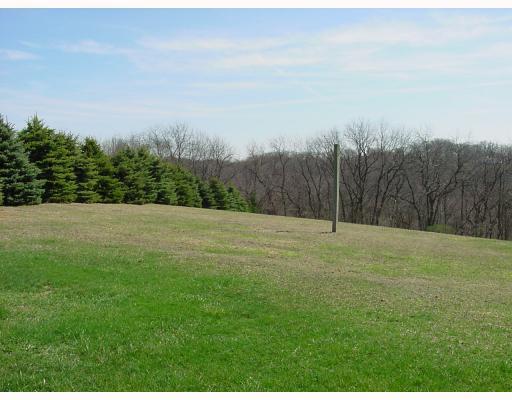 201 Powell Road New Brighton, PA 15066 - Photo 5 of 16 Land/Lot. View of the back yard.