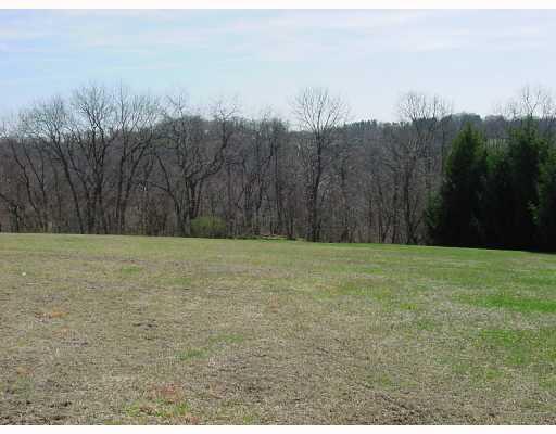 201 Powell Road New Brighton, PA 15066 - Photo 6 of 16 Land/Lot. View of backyard with woods to the back.