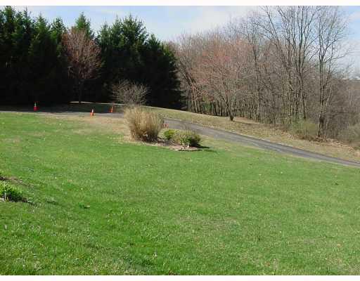 201 Powell Road New Brighton, PA 15066 - Photo 7 of 16 Land/Lot. View across the driveway from the front of the house. Paved Drivway.