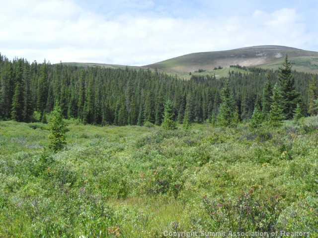 0 Tbd Road Fairplay, CO 80440 - Photo 2 of 5 Gallery Image 2