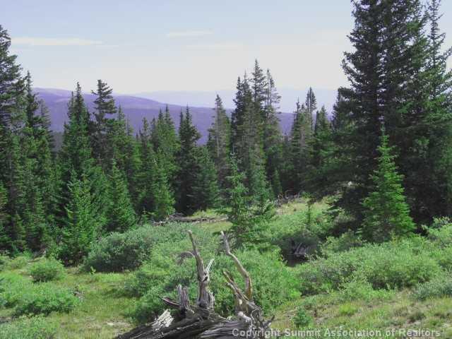 0 Tbd Road Fairplay, CO 80440 - Photo 3 of 5 Gallery Image 3