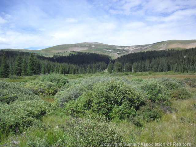 0 Tbd Road Fairplay, CO 80440 - Photo 5 of 5 Gallery Image 5