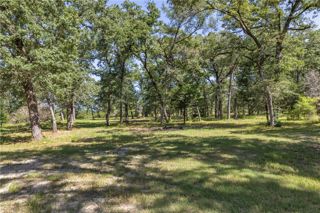 9847 Weedon Loop Bryan, TX 77808 - Photo 33 of 40 Gallery Image 33