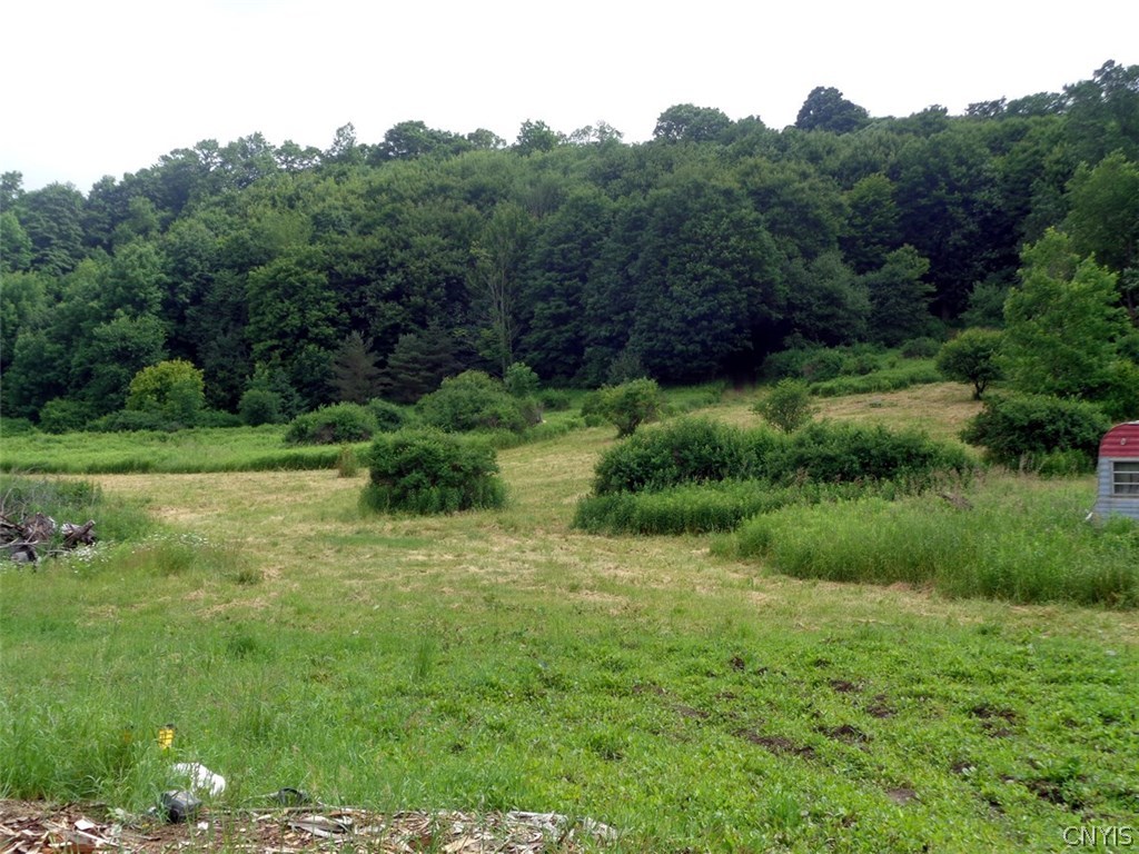 0 Kinney Gulf Road Homer, NY 13077 - Photo 1 of 1 Gallery Image 1