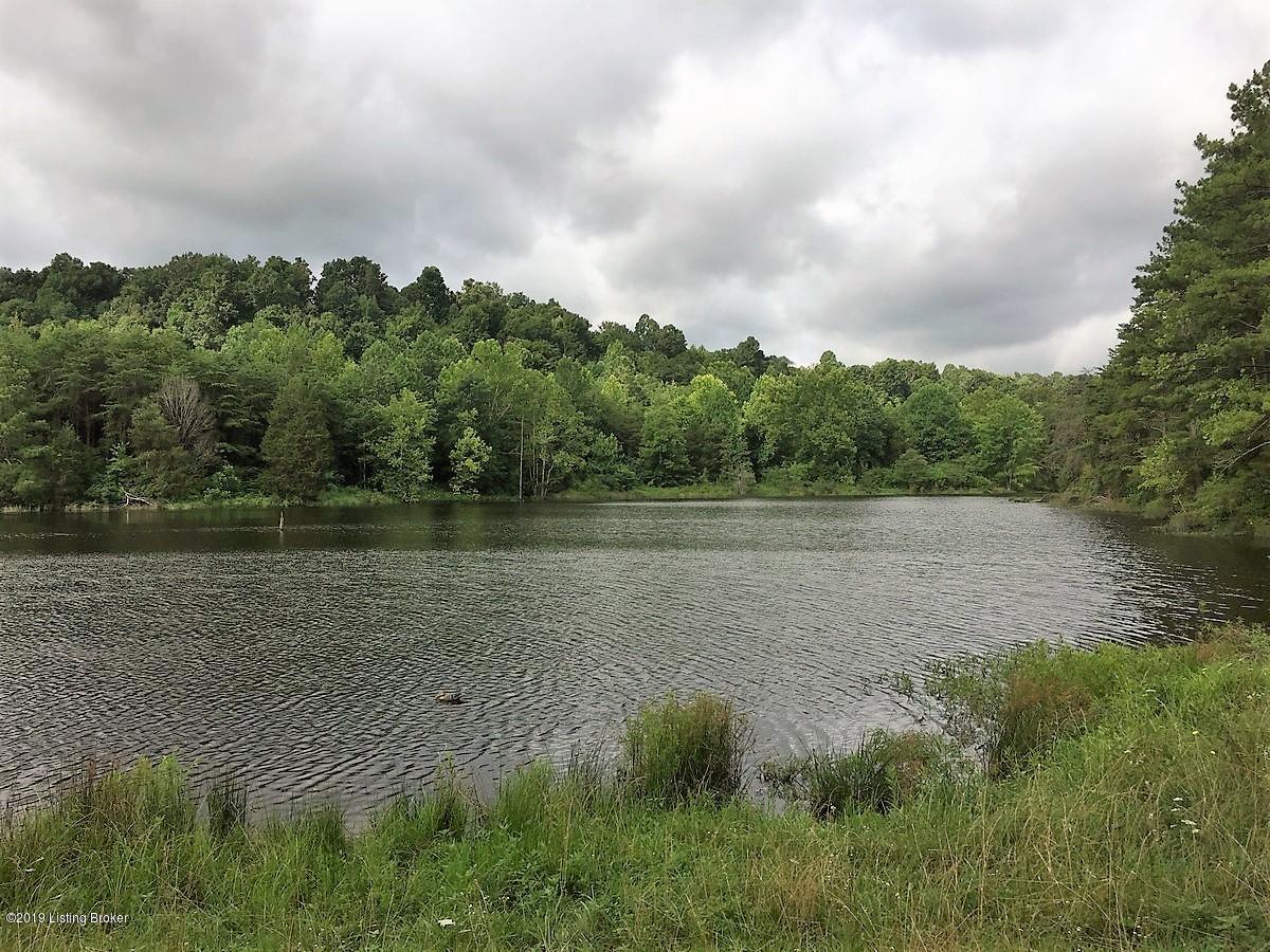 386 Salem Church Road Bee Spring, KY 42207 - Photo 7 of 64 A Lake 7