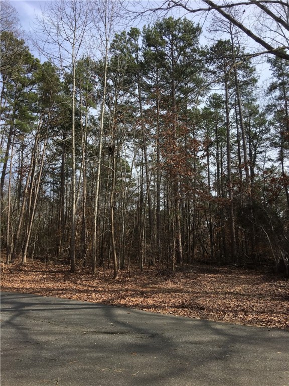 Lot 22 Pintail Road Anderson, SC 29626 - Photo 3 of 7 Gallery Image 3