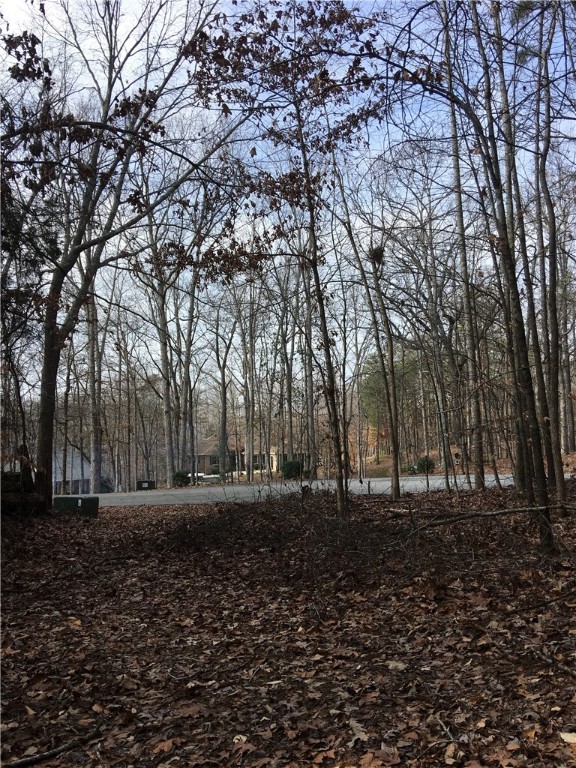 Lot 22 Pintail Road Anderson, SC 29626 - Photo 4 of 7 Gallery Image 4