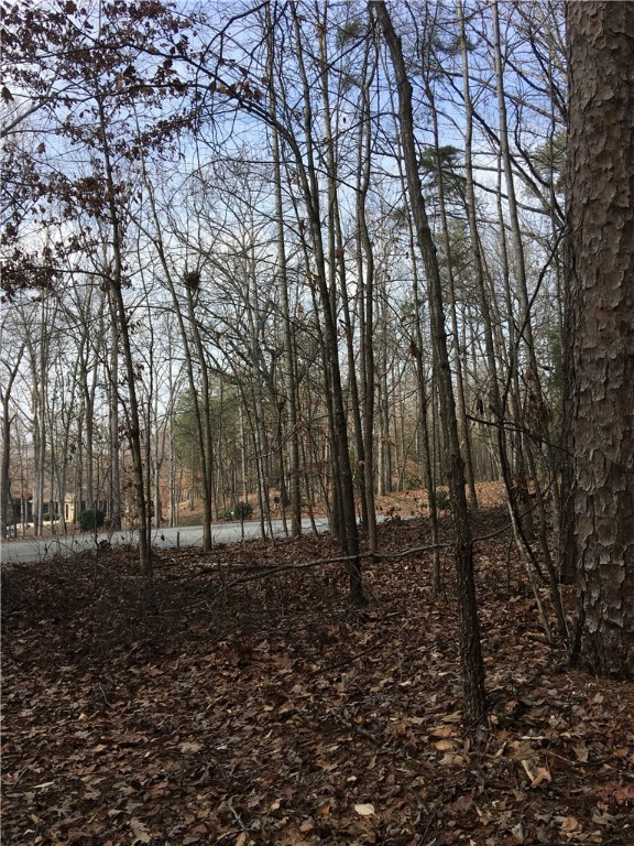 Lot 22 Pintail Road Anderson, SC 29626 - Photo 5 of 7 Gallery Image 5