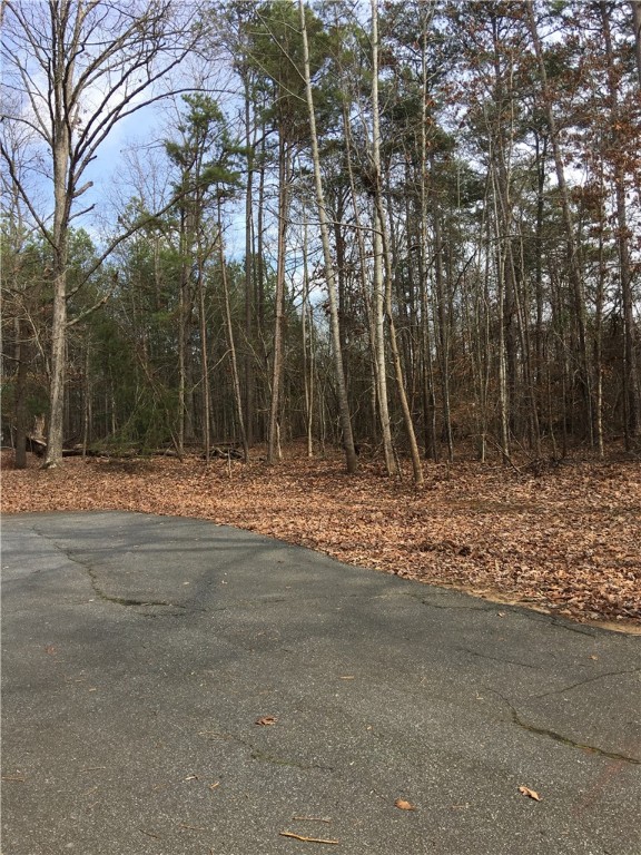 Lot 22 Pintail Road Anderson, SC 29626 - Photo 6 of 7 Gallery Image 6