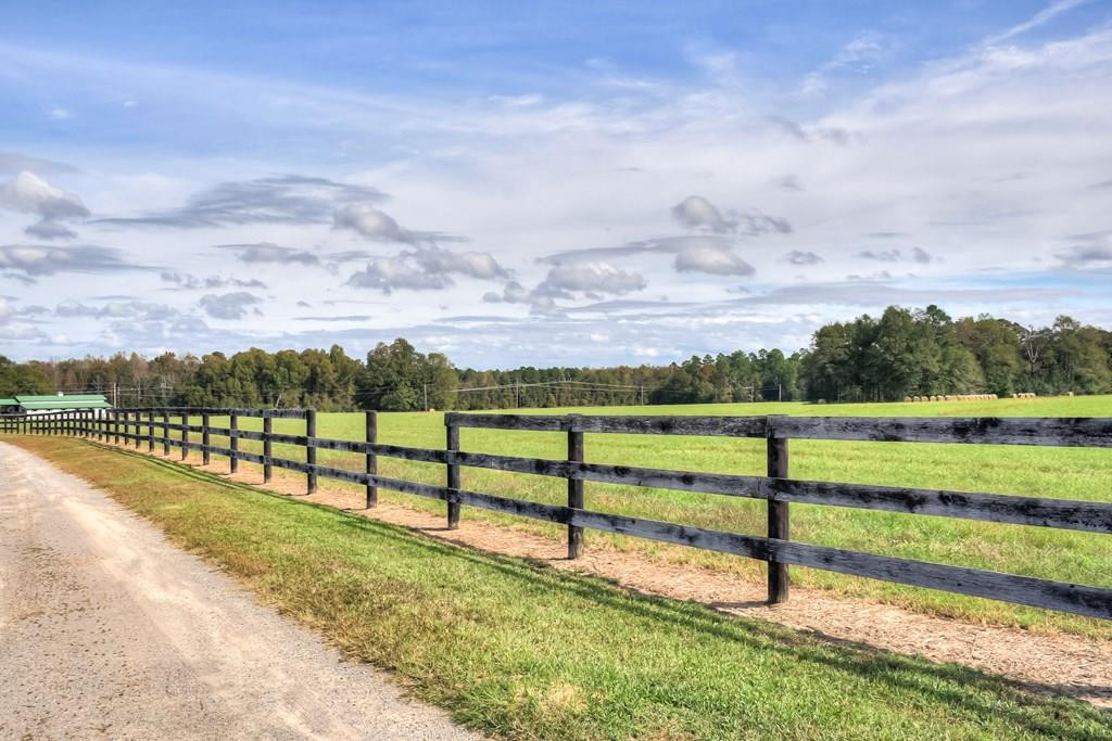 492 Black River Road Barnwell, SC 29812 - Photo 43 of 58 Gallery Image 43