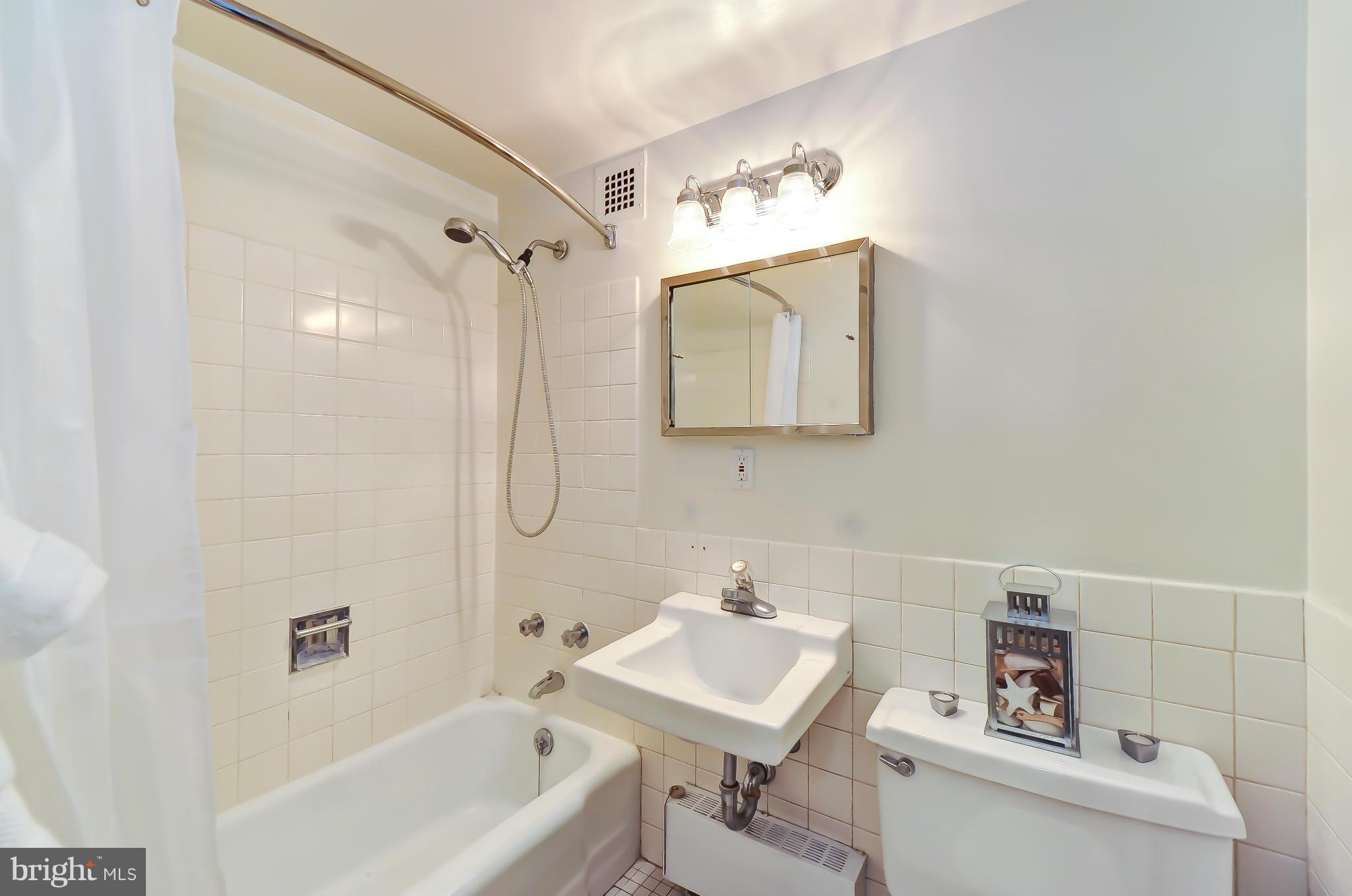 1301 Delaware Avenue Southwest, Unit N504 Washington, DC 20024 - Photo 7 of 29 a bathroom with a sink a toilet and shower