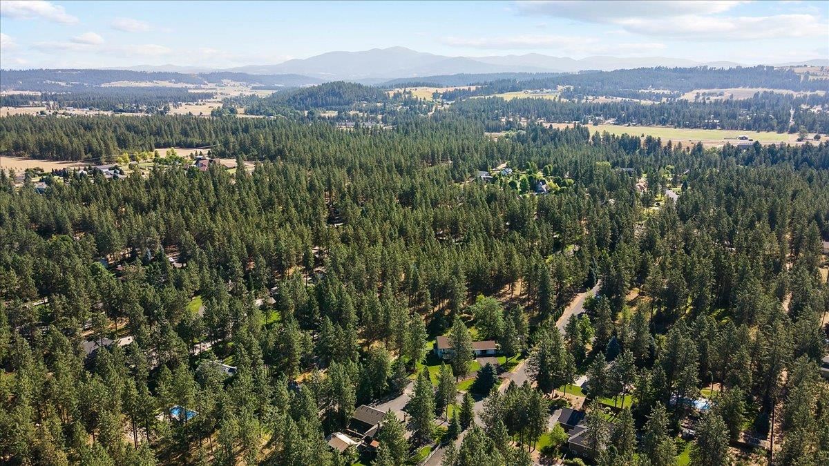 3403 East Bridle Trail Road Colbert, WA 99005 - Photo 43 of 45
