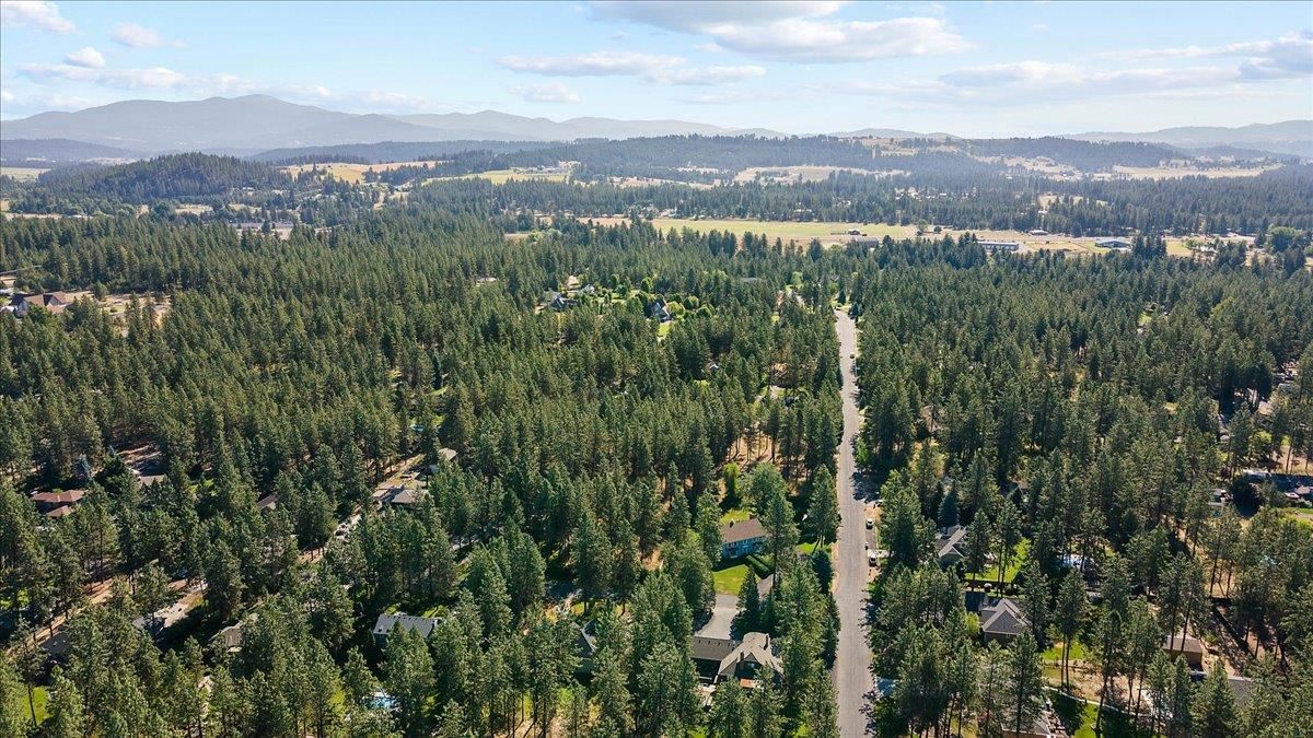 3403 East Bridle Trail Road Colbert, WA 99005 - Photo 44 of 45