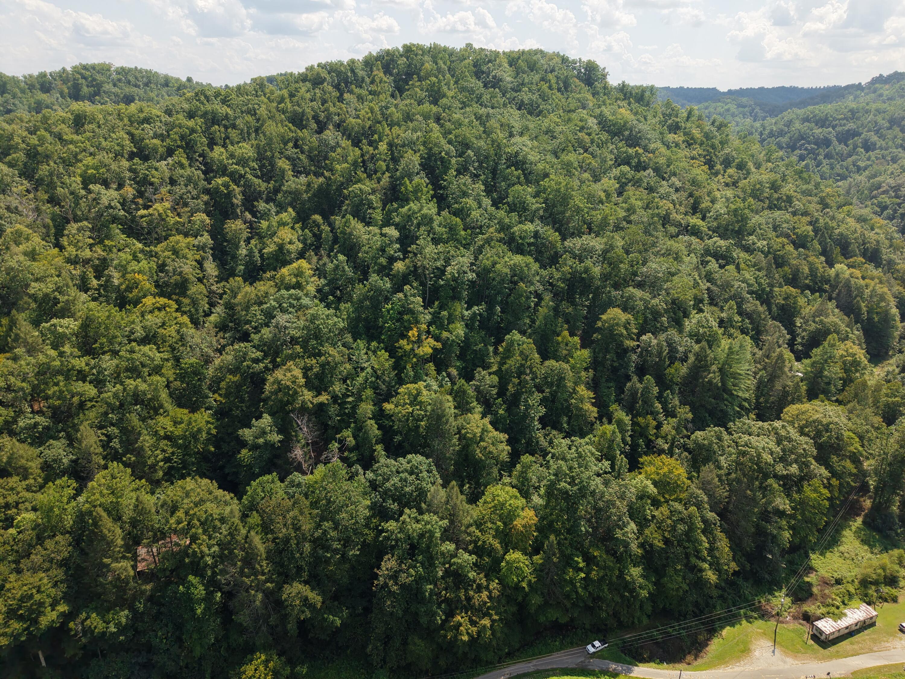 1081 Wooten Fork Road Tomahawk, KY 41262 - Photo 2 of 5 dji_fly_20260828_143618_0106_17881905488