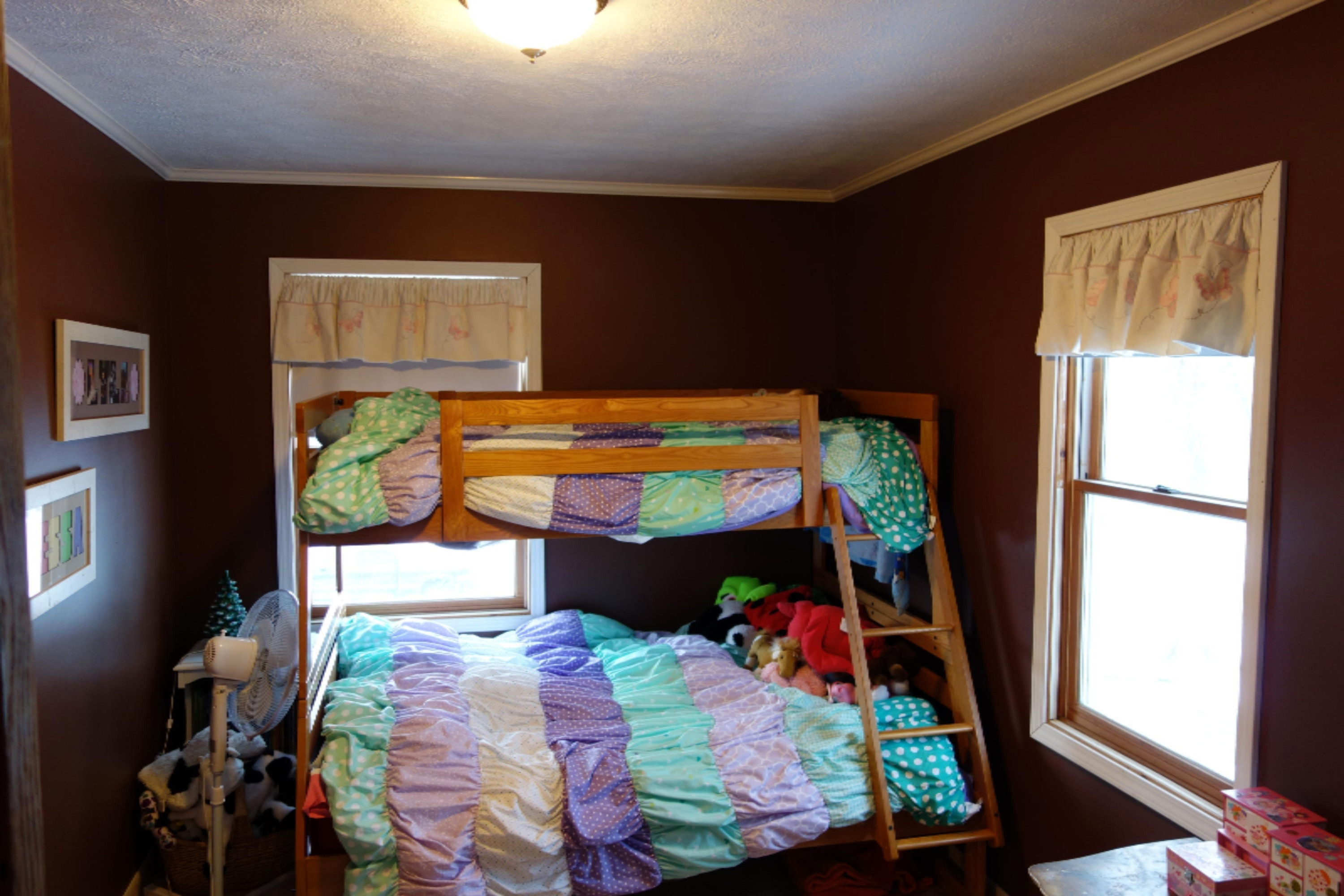 6677 Morrison Lake Road Saranac, MI 48881 - Photo 8 of 19 DSC00610