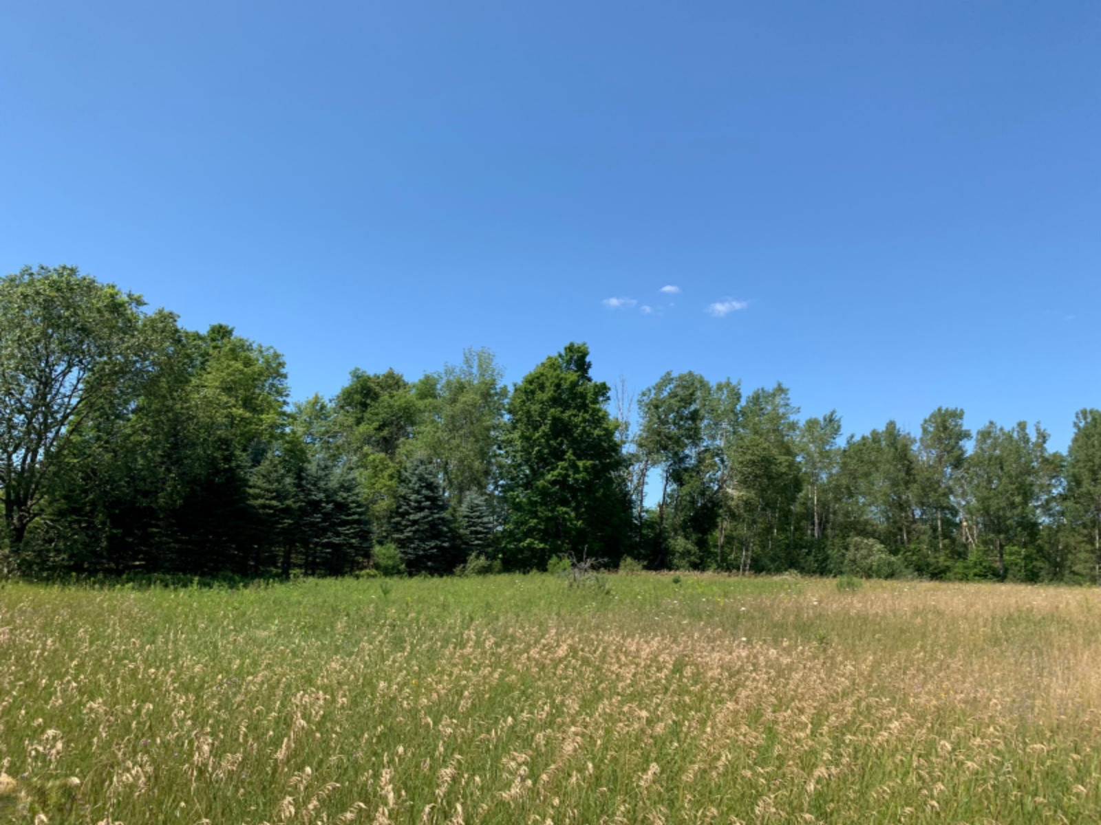 10 10 Mile Road Reed City, MI 49677 - Photo 11 of 38 IMG_2568