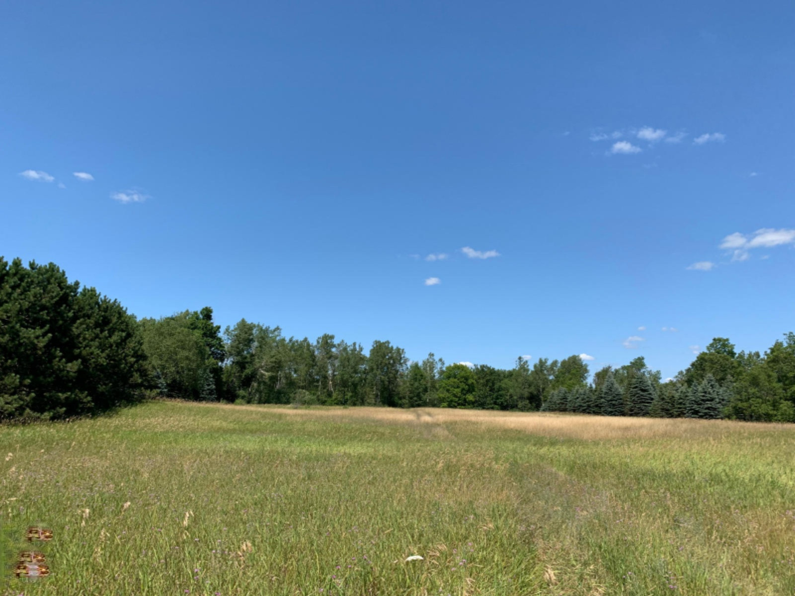 10 10 Mile Road Reed City, MI 49677 - Photo 13 of 38 IMG_2566