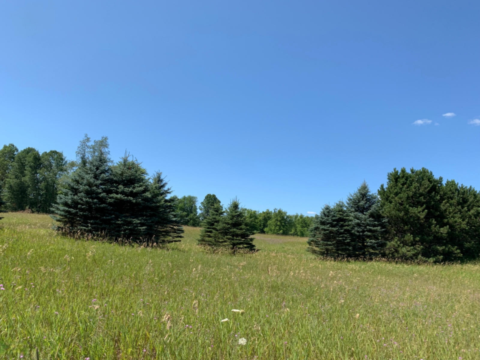 10 10 Mile Road Reed City, MI 49677 - Photo 15 of 38 IMG_2567