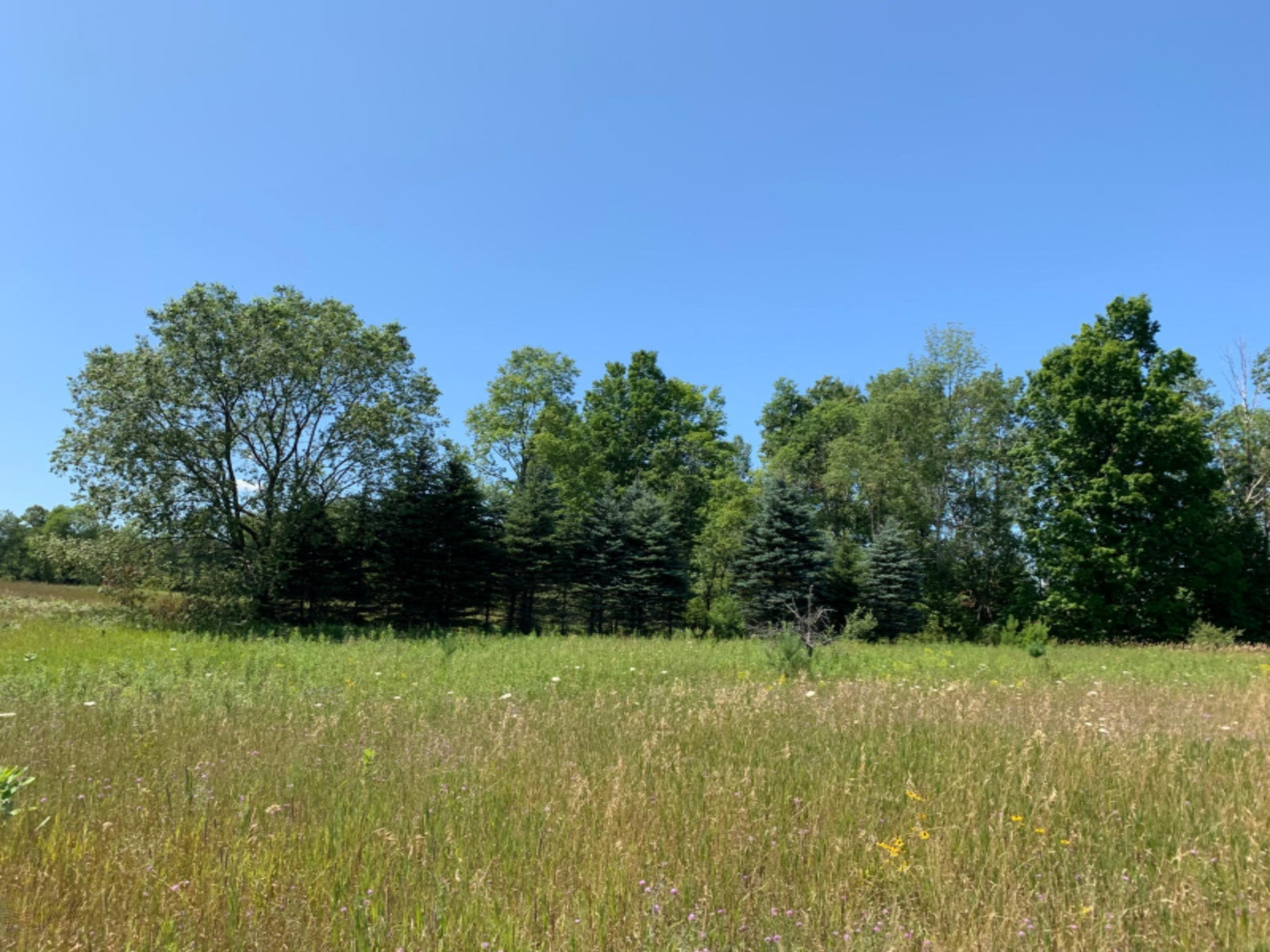 10 10 Mile Road Reed City, MI 49677 - Photo 16 of 38 IMG_2569