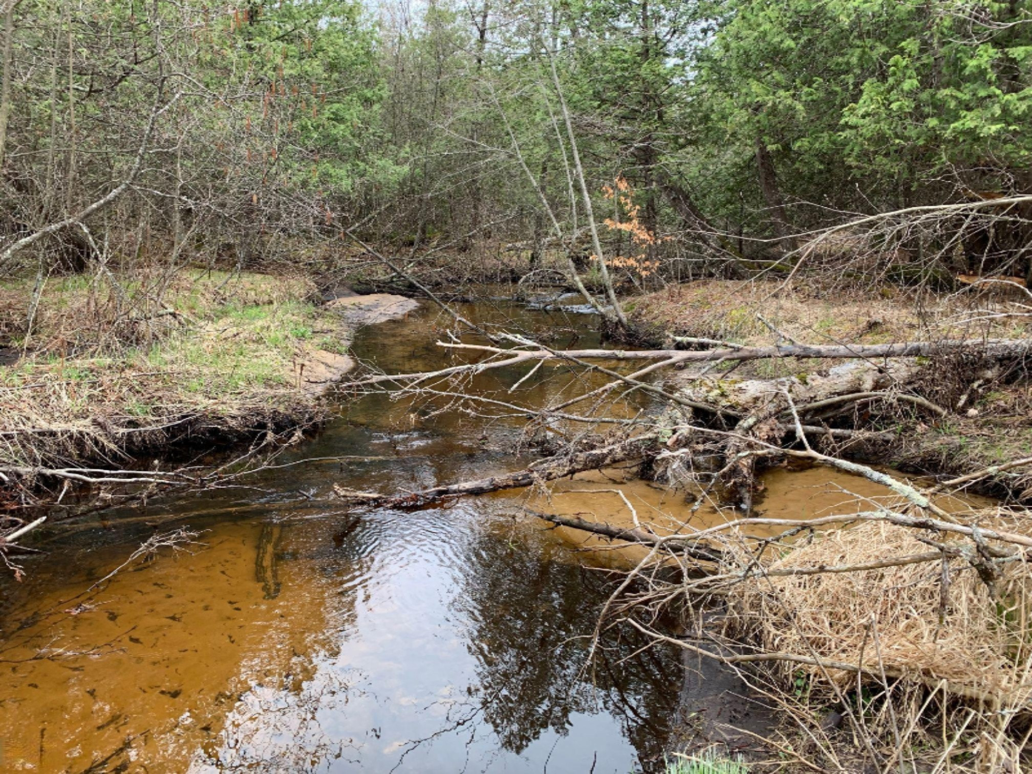 10 10 Mile Road Reed City, MI 49677 - Photo 21 of 38 IMG_0410