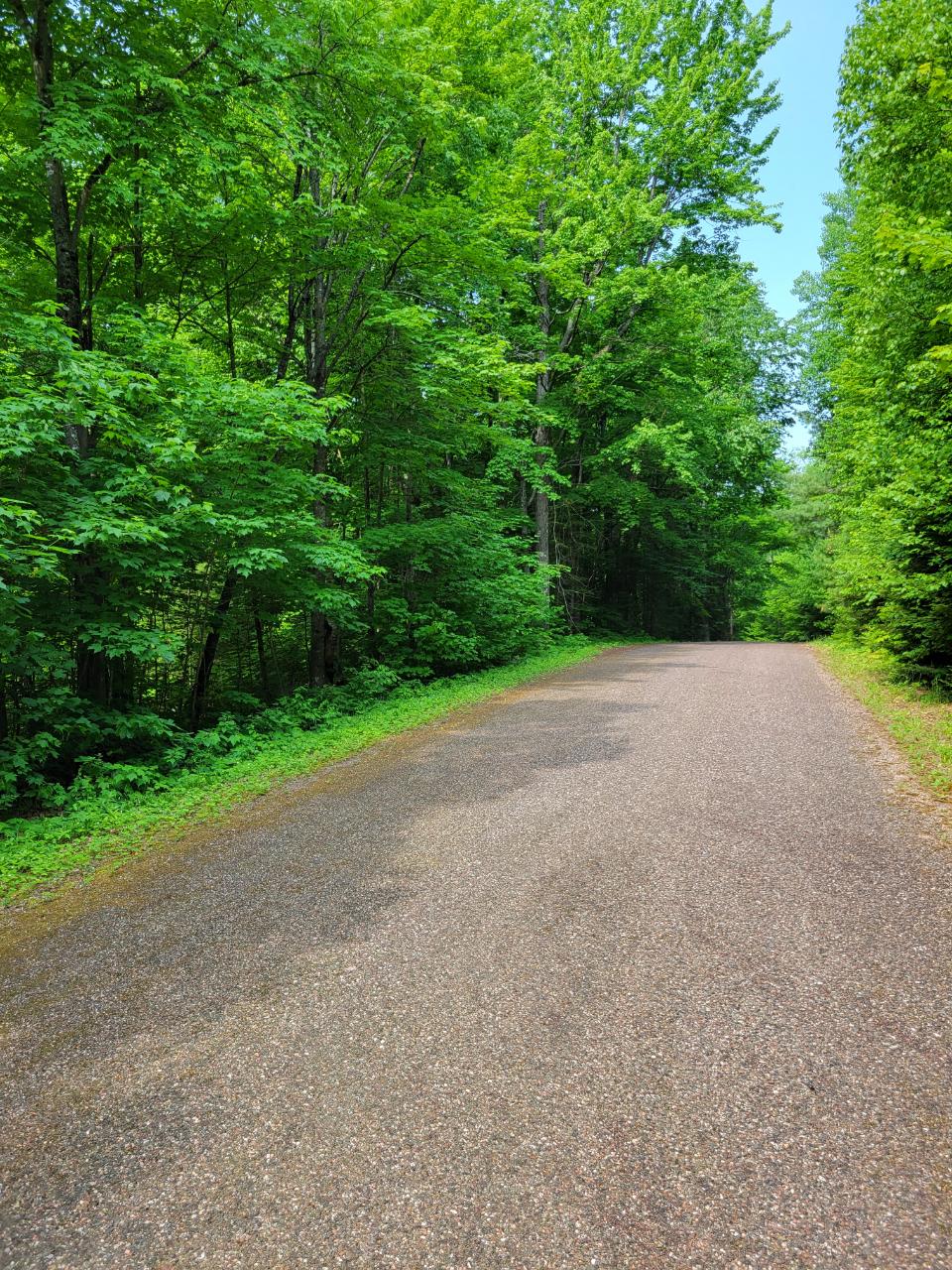 Lot 1 Moonshine Valley Road Presque Isle, WI 54557 - Photo 12 of 21 Gallery Image 12