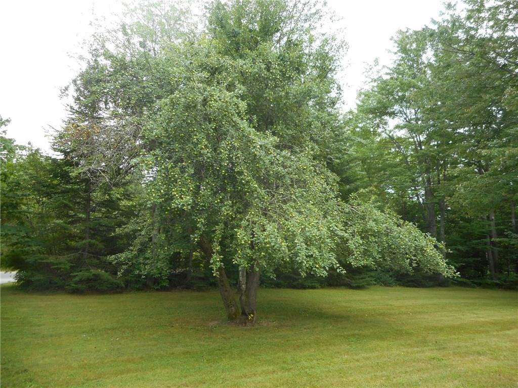 119 Litchfield Road Hallowell, ME 04347 - Photo 5 of 29 Photo