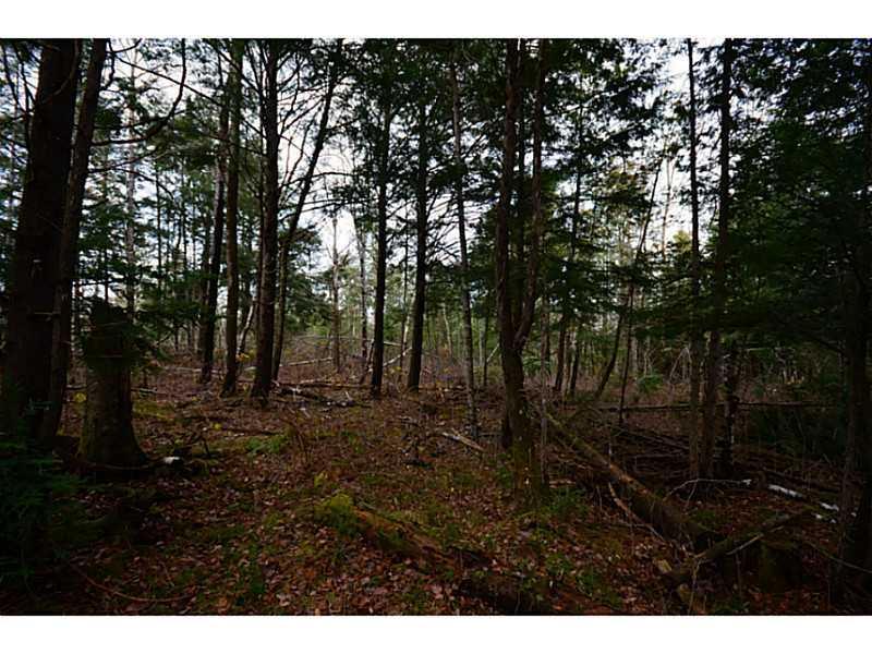 0 Williams Road Bradford, ME 04410 - Photo 15 of 35 Other. Investment Timber