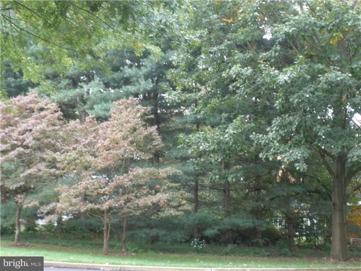 702 Spice Bush Ambler, PA 19002 - Photo 2 of 23 View from Front Door