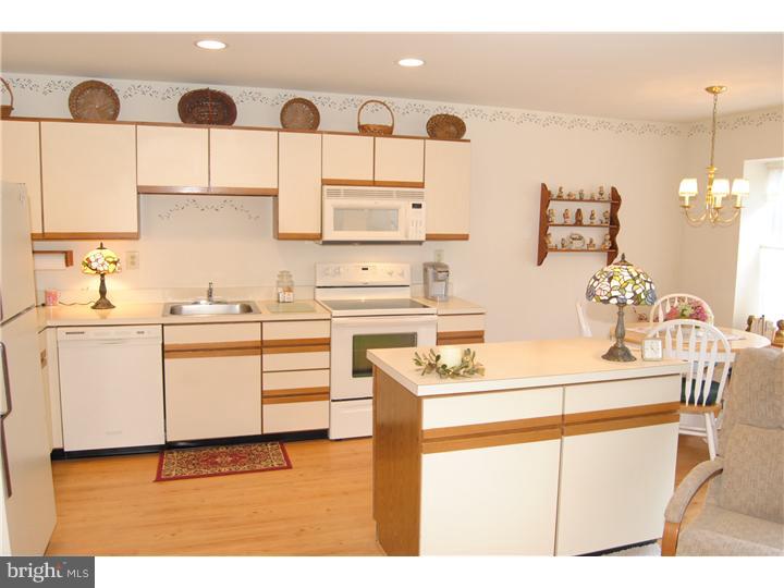 702 Spice Bush Ambler, PA 19002 - Photo 11 of 23 Kitchen