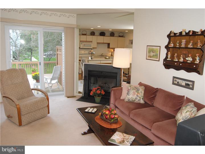 702 Spice Bush Ambler, PA 19002 - Photo 15 of 23 Family Room