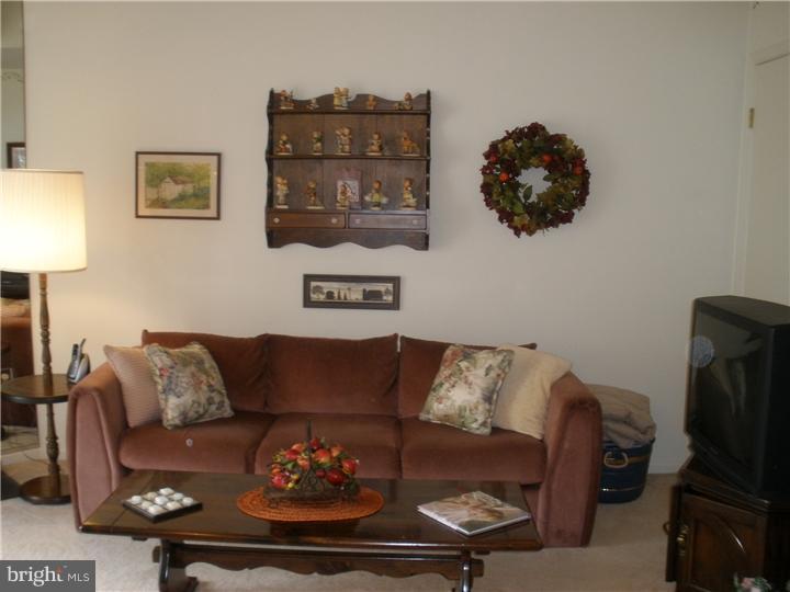 702 Spice Bush Ambler, PA 19002 - Photo 16 of 23 Family Room