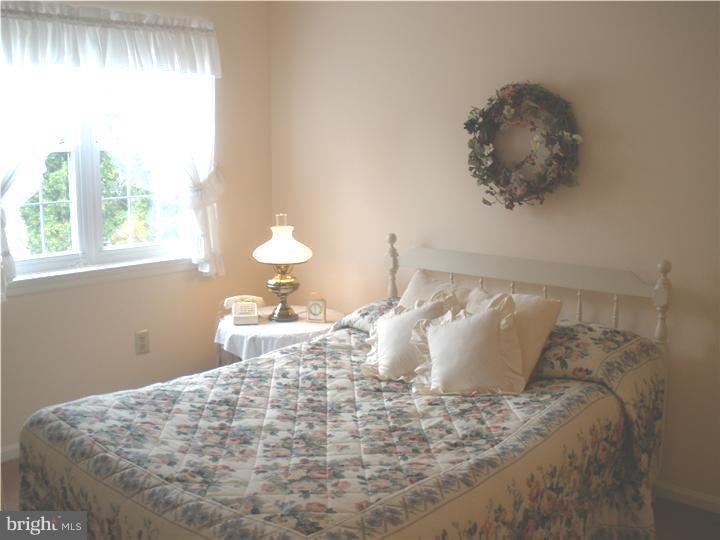 702 Spice Bush Ambler, PA 19002 - Photo 18 of 23 Guest Room